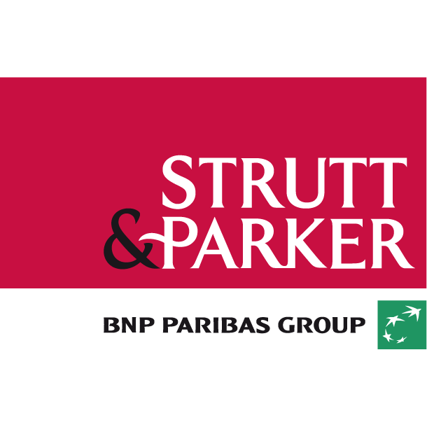 Brand Name : Brand Short Description Type Here.