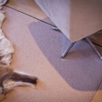 Embankment-1500x1000-22-705x470