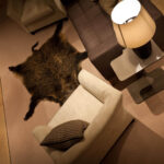 ensor-mews-1318-1536x1024